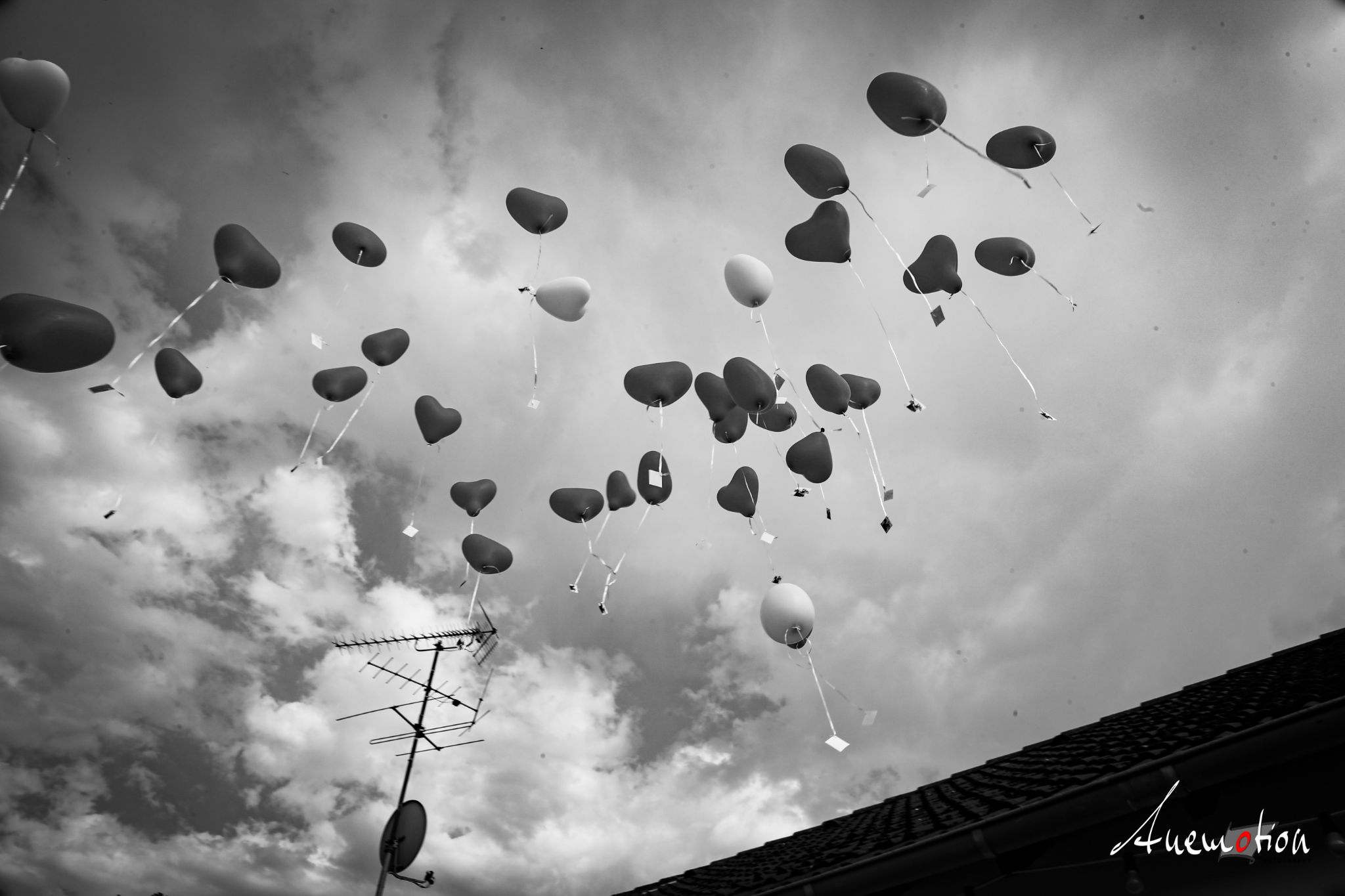 SarahundSebastian (13)